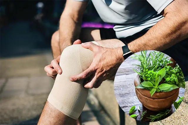 Các bài thuốc dân gian chữa thoái hóa khớp gối bài thuốc dân gian chữa thoái hóa khớp gối
