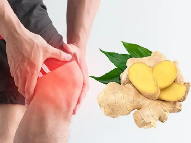 Chữa thoái hóa khớp bằng gừng bài thuốc dân gian chữa thoái hóa khớp gối