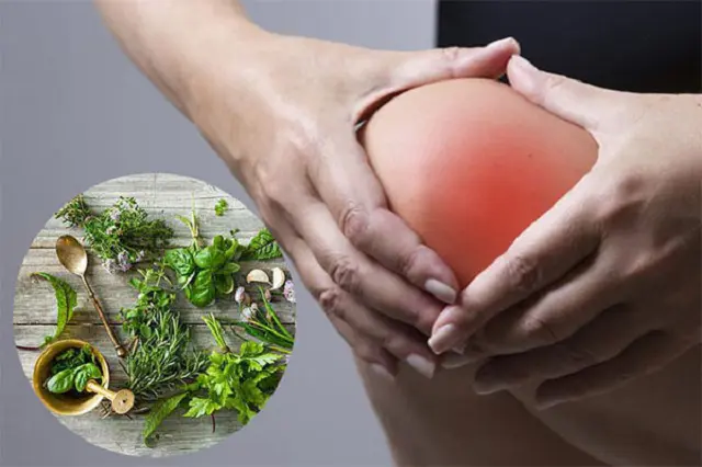 Chữa thoái hóa khớp gối bằng dân gian có tốt không? bài thuốc dân gian chữa thoái hóa khớp gối
