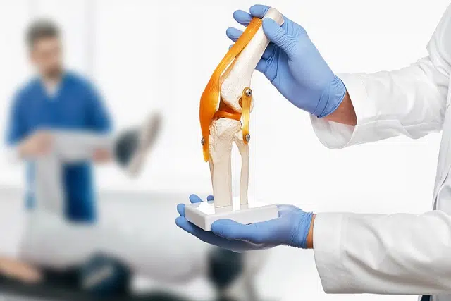 cấu tạo và chức năng khớp gối